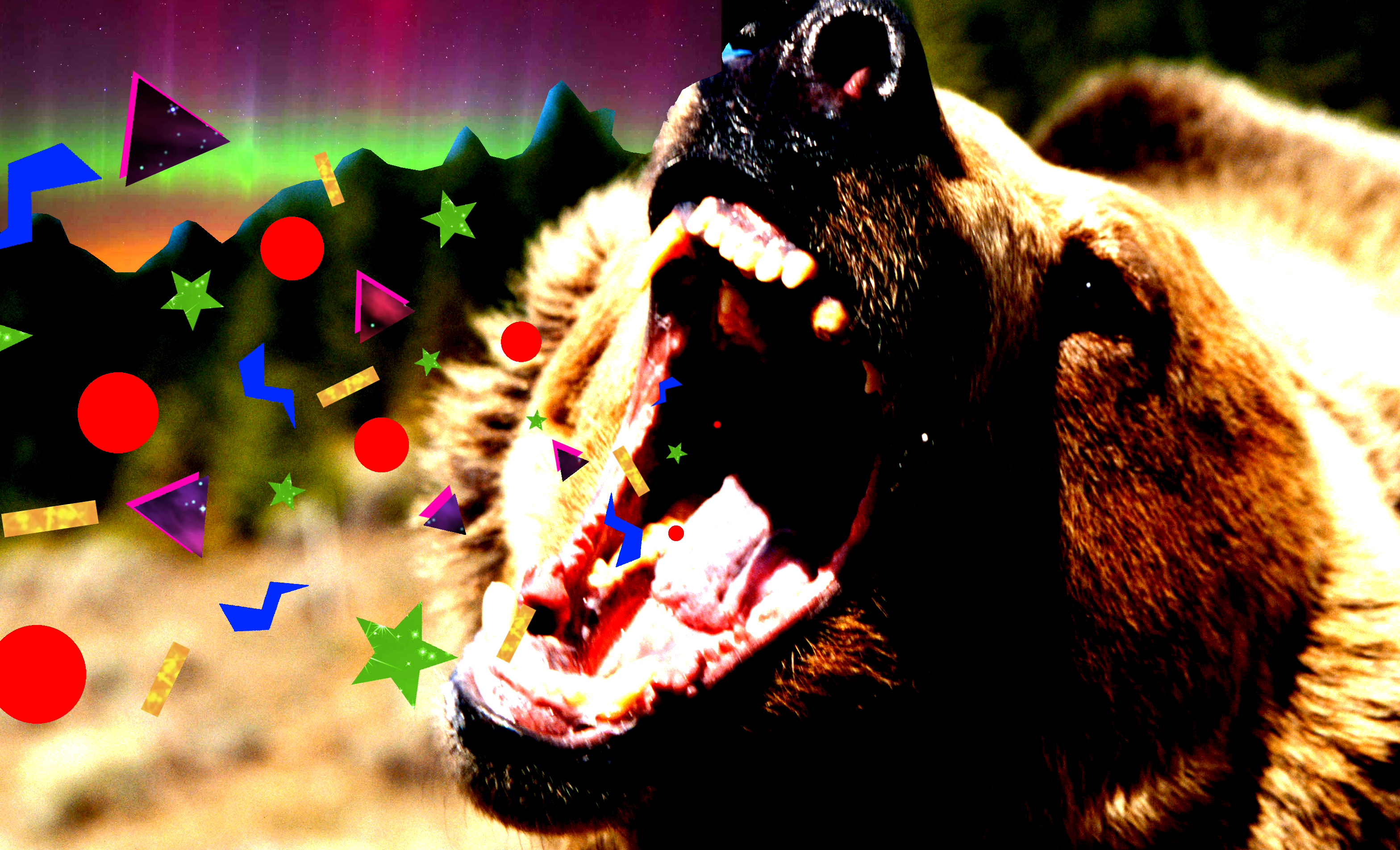 bear Attack image